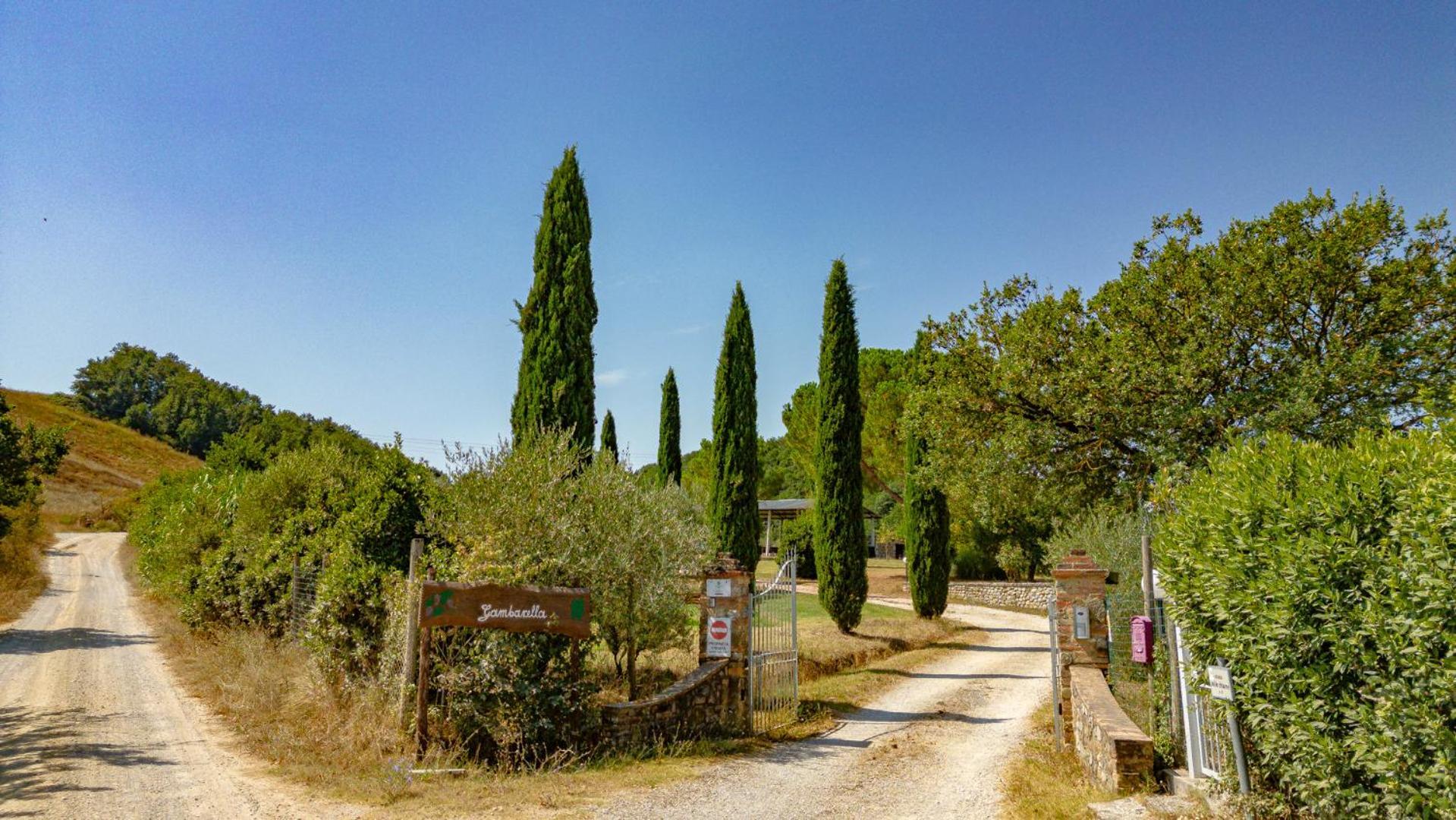 Ferienwohnung Ulivo-Chianti Charming Flat With Private Parking! Asciano Exterior foto